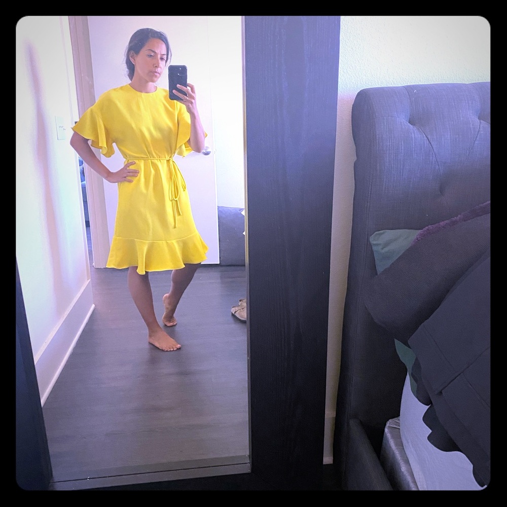 NWT Carolina Herrera Size 2 Yellow Dress